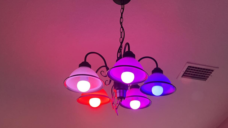 Colorful chandelier with multicolored smart light bulbs in pink, red, and purple colors