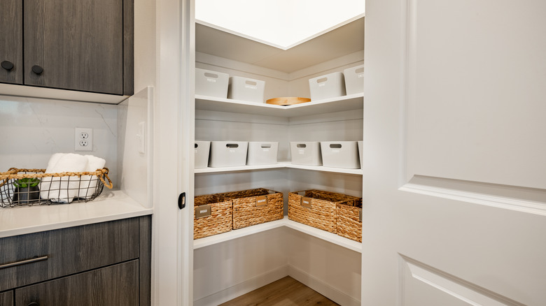 An interior look at a kitchen pantry.
