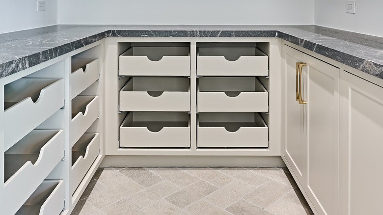 An inside look at an empty pantry.
