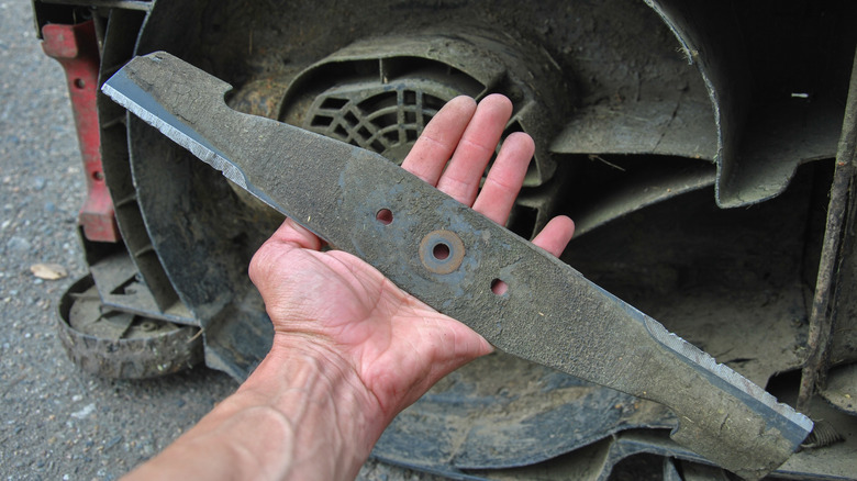 Person holding lawn mower blade