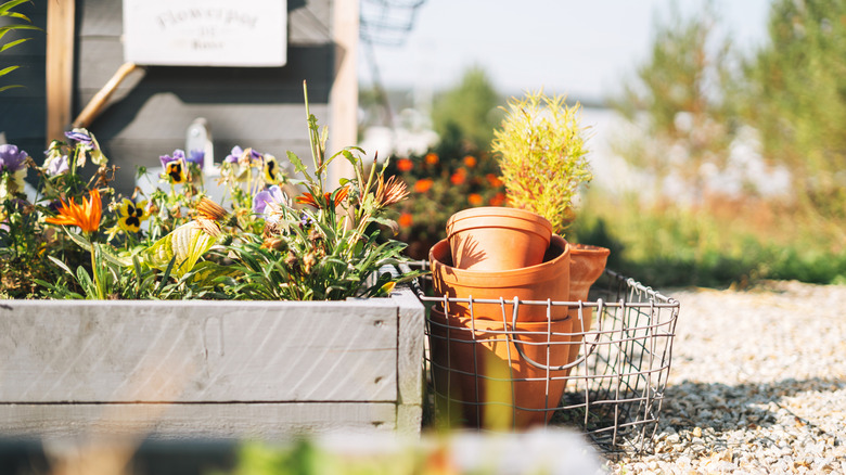 Flowers in a garden with extra flower pots