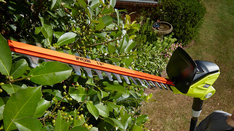 Person using the Ryobi 40V 18 in. Cordless Battery Pole Hedge Trimmer to trim a tall bush