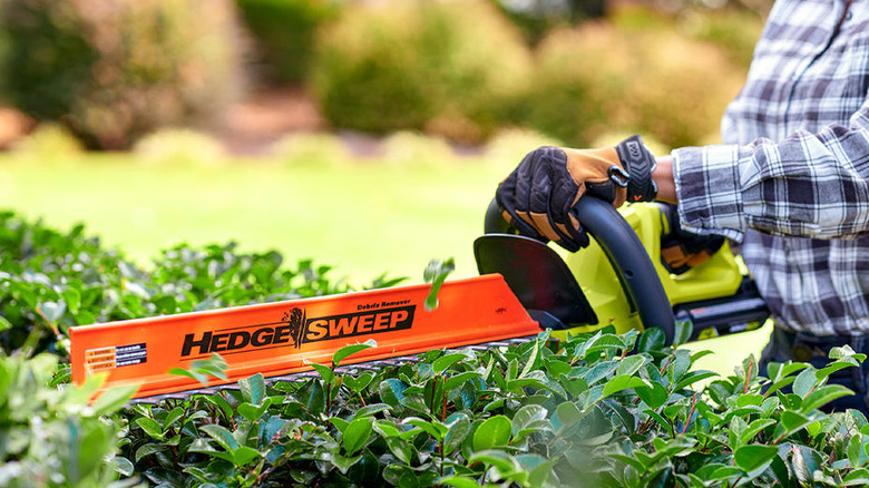 Person using the Ryobi 40V 24 in. Cordless Battery Hedge Trimmer to trim a bush