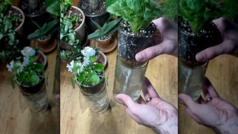 Tutorial for self-watering planters