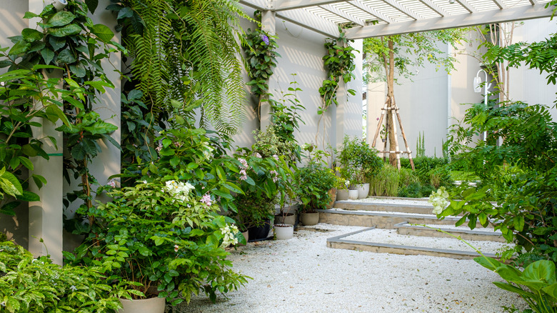gravel patio under pergola