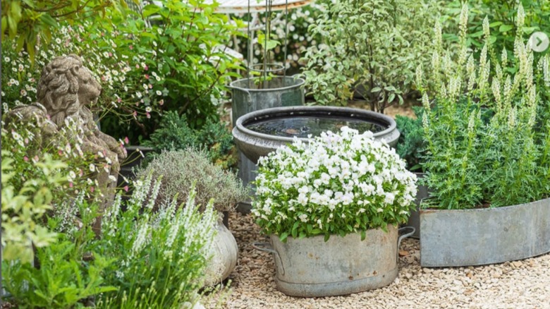 Gravel patio with a bird bath and plants