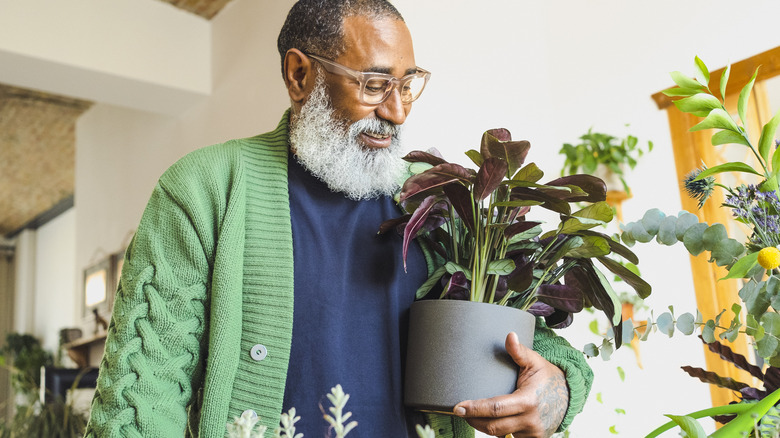 Man carrying a potted plant