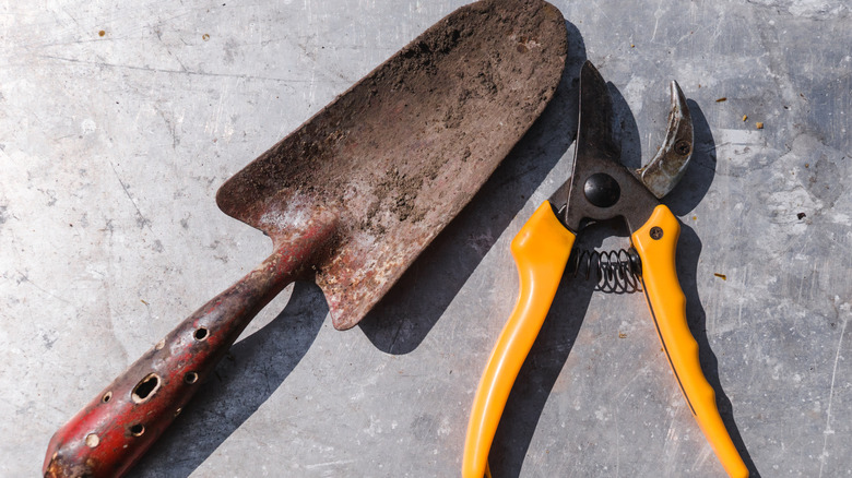 Rusted and dirty garden tools on a table