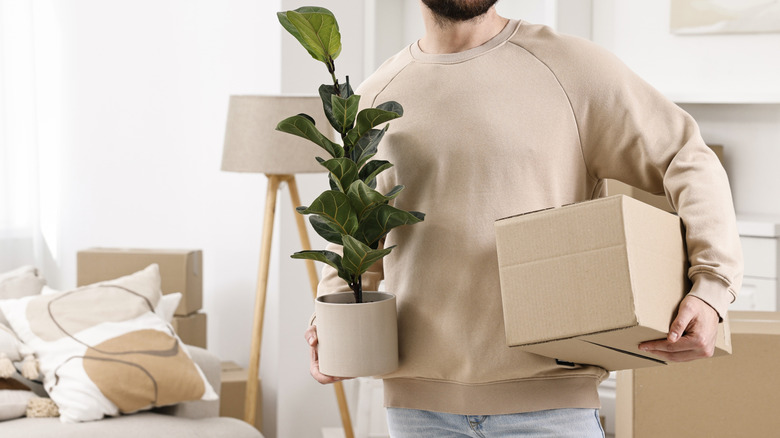 Man holding a houseplant in one hand and a cardboard box in the other