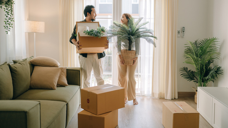 A couple holding a moving box and a plant in a living room