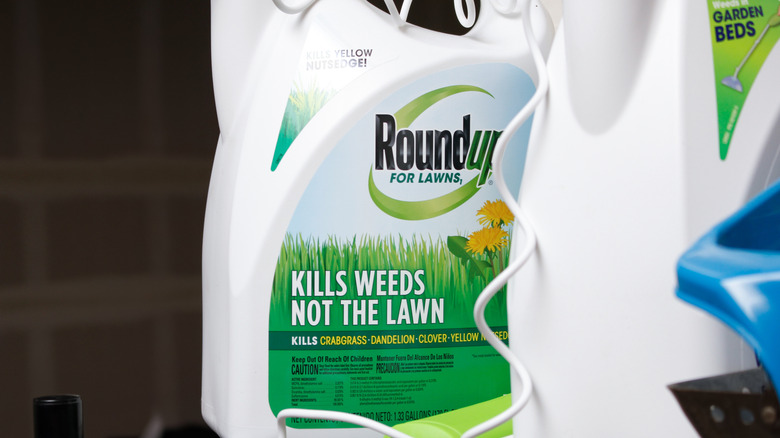 A bottle of Roundup on a table