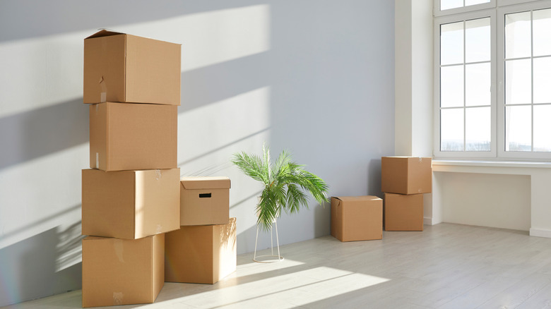 Moving boxes stacked against a white wall