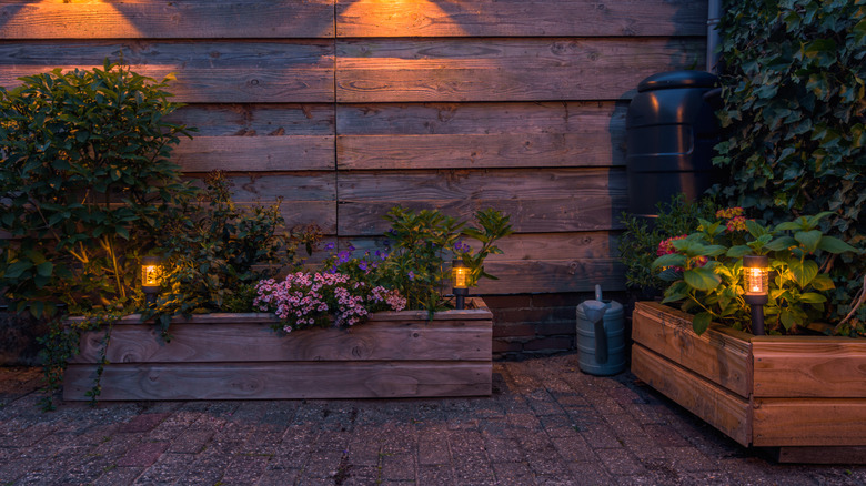 Soft lights in the yard at night
