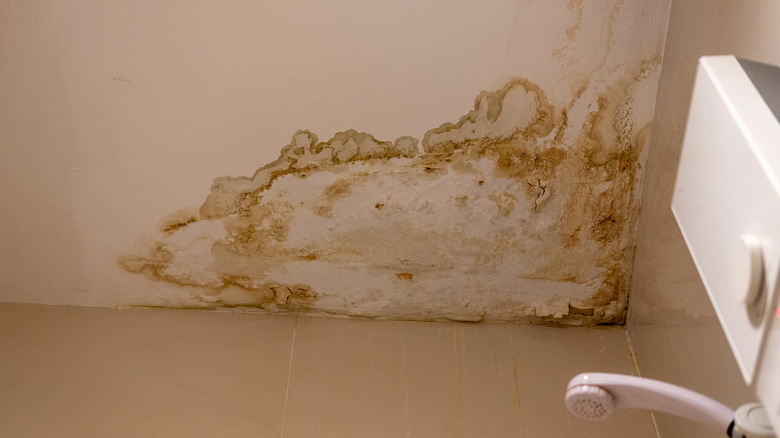 A large water spot on a bathroom ceiling