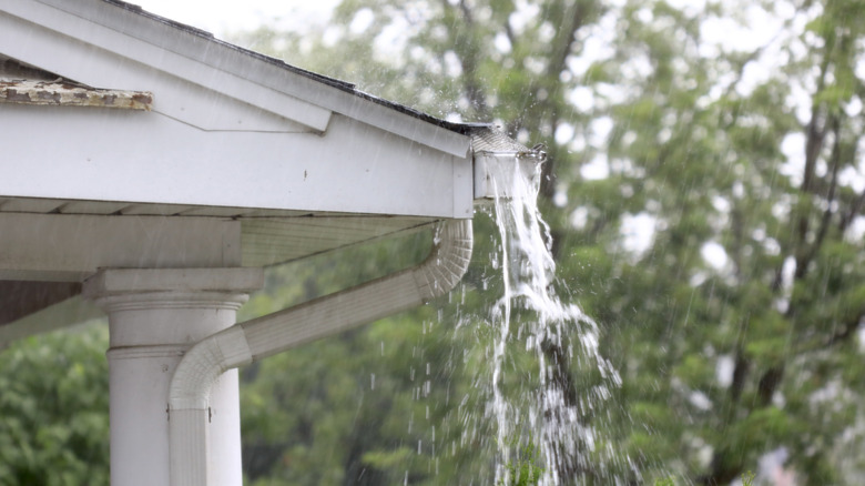 rain pouring from gutter