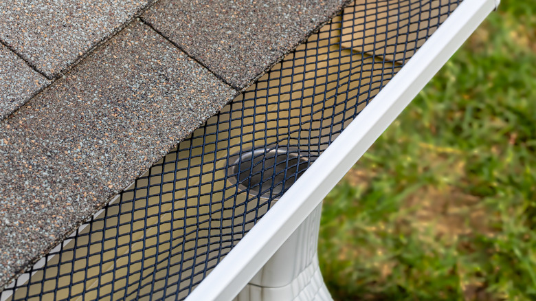 mesh gutter guard