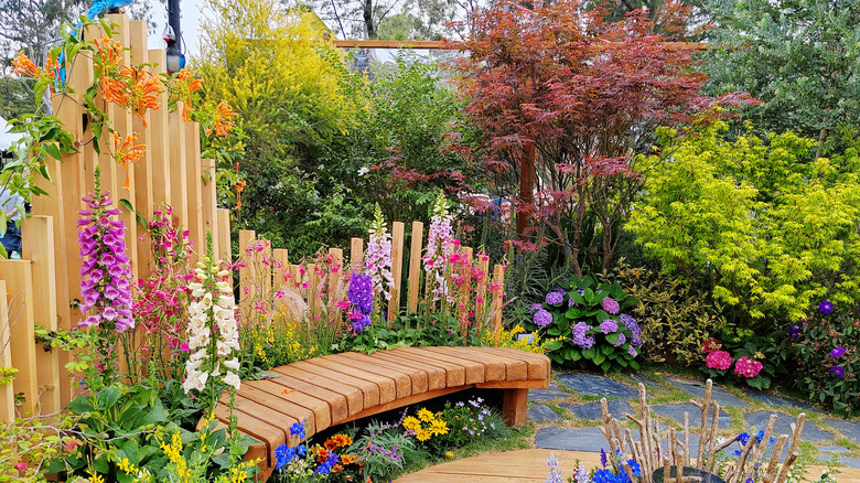 Small yard featuring maple trees