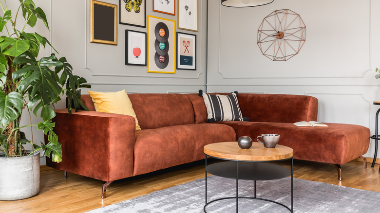 brown leather sectional against wall beside large plant