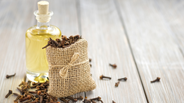 Bottle of clove oil with cloves in a hessian sack