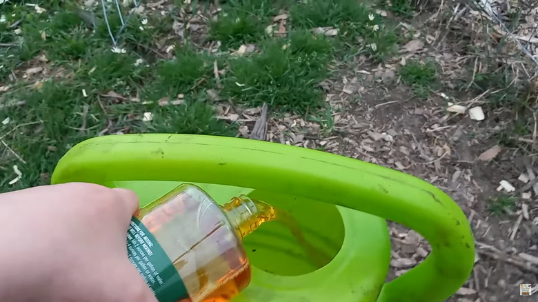 Person pouring orange oil into a green watering can