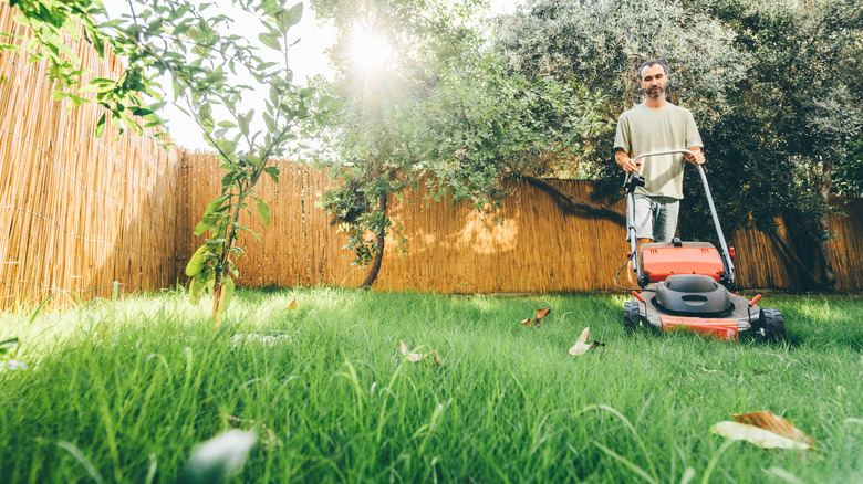 Man using a lawn mower in his back yard.