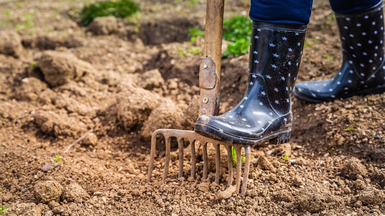 Closeup of a garden driving a fork into the ground