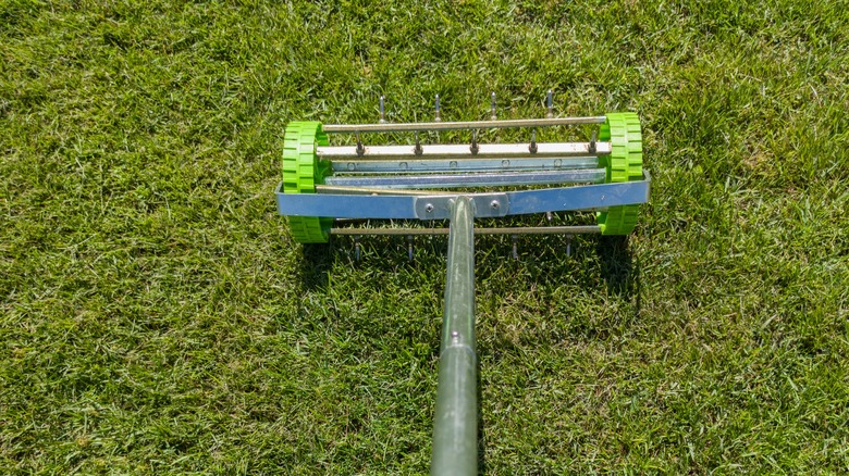 Rolling lawn aerator lawn in action.
