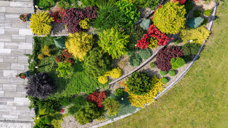 Aerial view of bed edging in the garden
