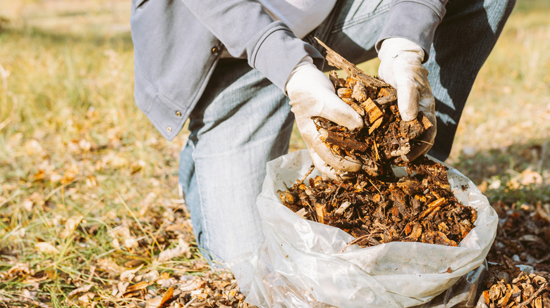 Gardener putting fresh mulch in garden bed