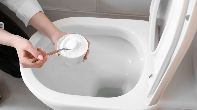 Person holding a bowl of baking soda over a toilet scooping out some of the powder