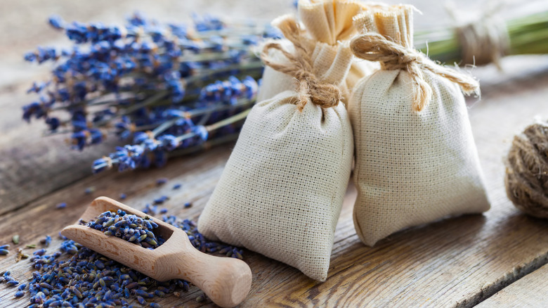 DIY sachets with dried lavender plants around them