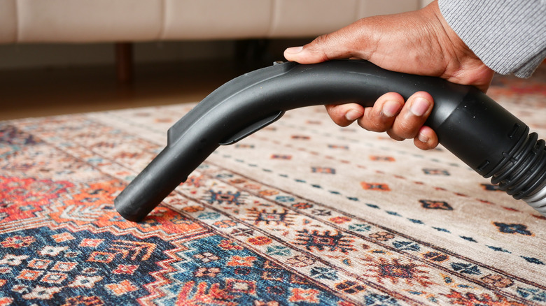 Person vacuuming an area rug with a black vacuum