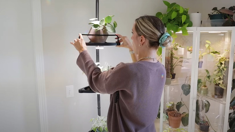 Woman decorating tiered shower caddy hanger with houseplants