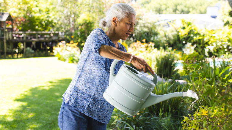 person watering plants outside