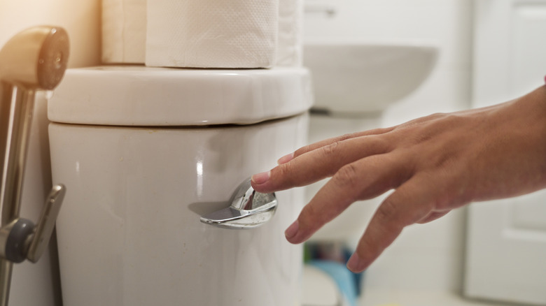 hand reaching to flush toilet