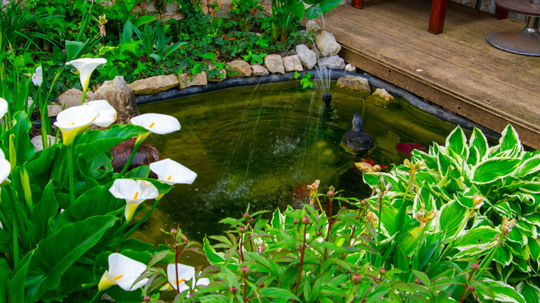 backyard pond with fountain