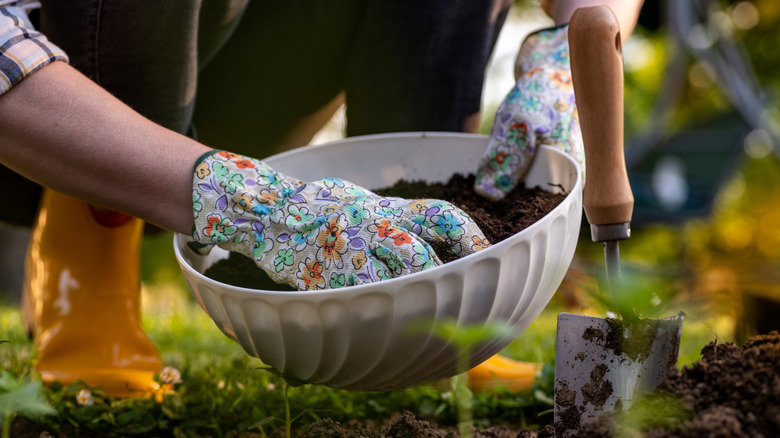 Adding organic matter to the soil to improve the soil structure