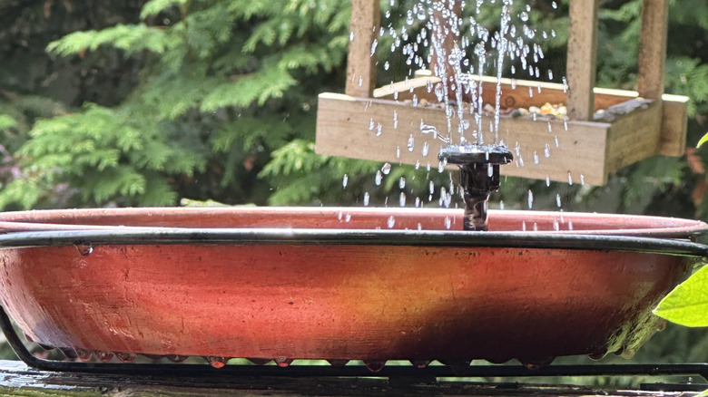 Red birdbath with sprinkler feature