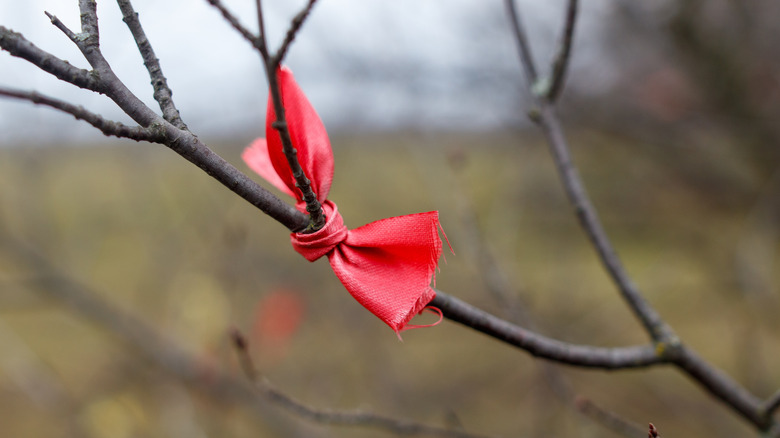 Red ribbon tied to a tree branch