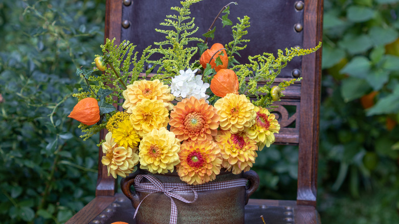 Goldenrod and several other flower species in a pot on a vintage chair outside