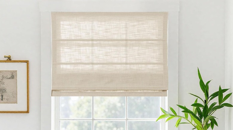 Linen roman blinds above plant beside framed wall art