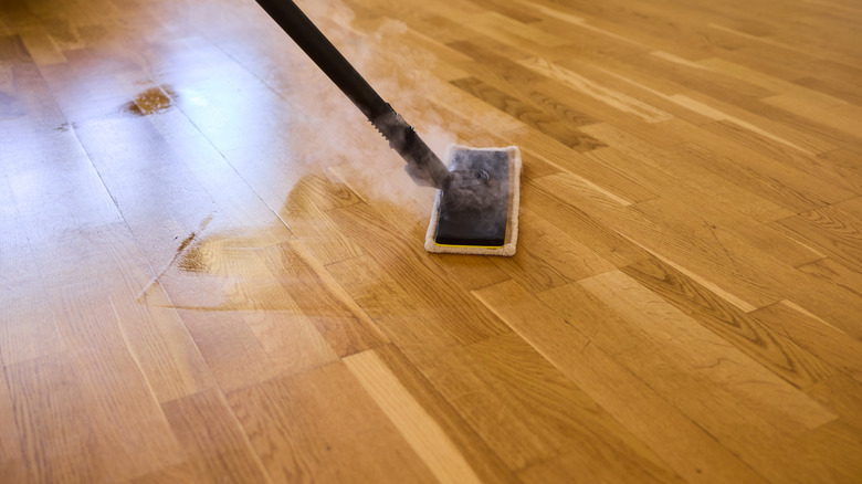 A steam cleaner on wood floors