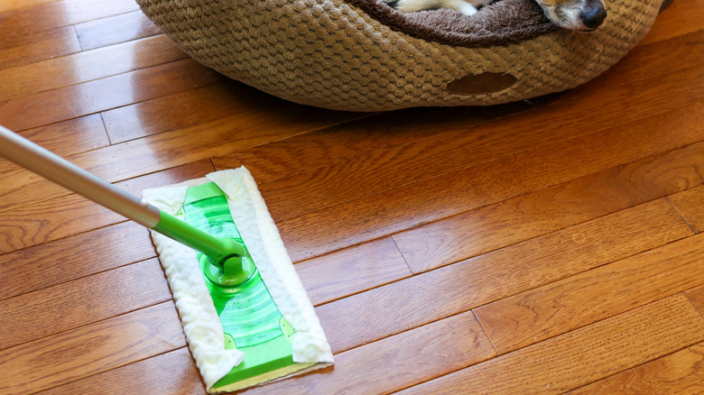 A swiffer dry dusting pet hair on wooden floors