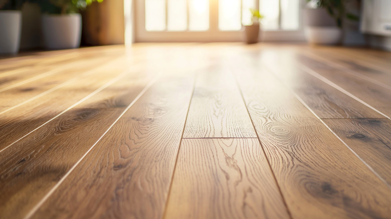 Sunlight shining onto wooden floors