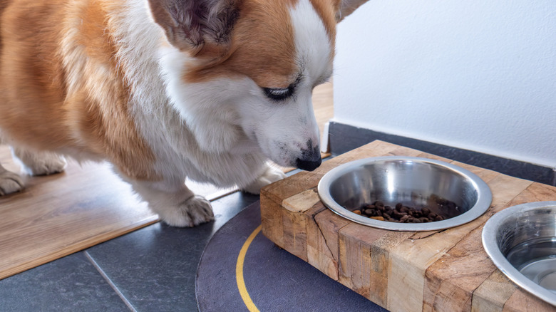 Mat under dog bowl feeding station