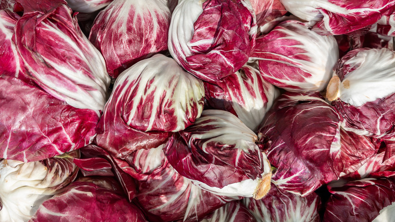 A closeup photo of red heads of radicchio