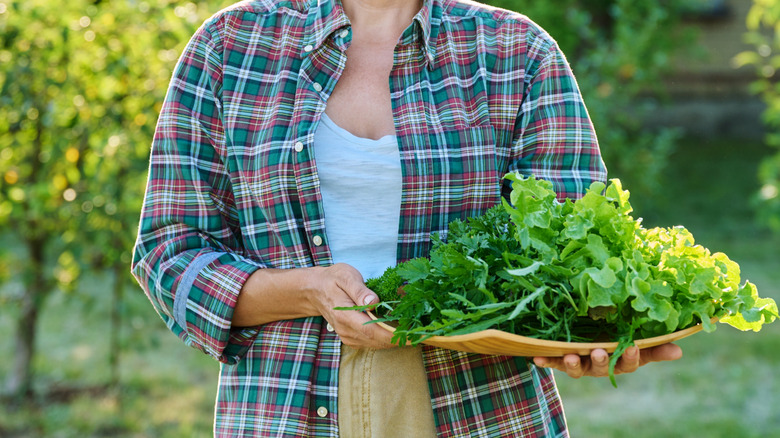 Woman in the garden with freshly harvested herbs