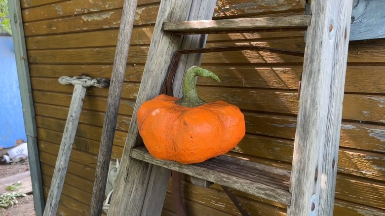 An orange pumpkin with a green stem on a wood step of a ladder