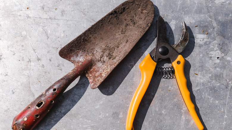 A dirty trowel and garden snippers sit on a counter.