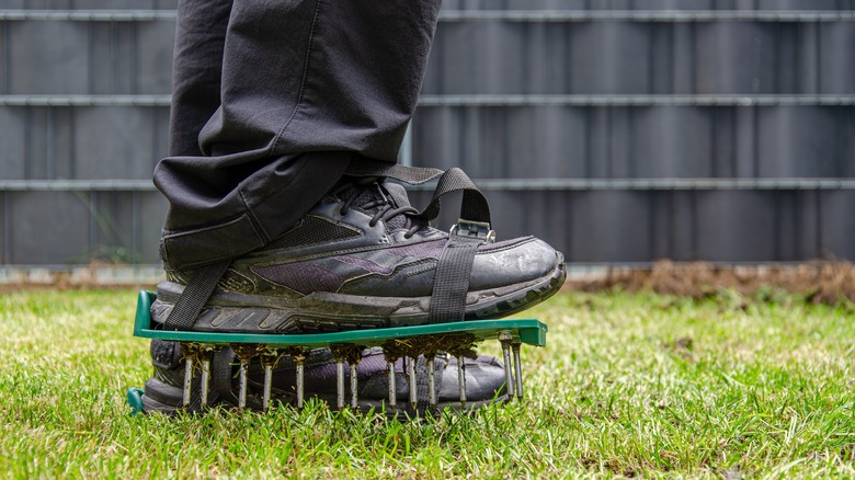 A person wears spiked shoes to aerate their lawn.